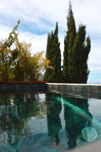 Bouganville House - Elegant & Peaceful Getaway