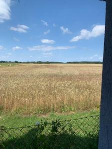 Zum Schwarzen Stiefel - Bauernhäuschen