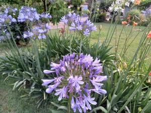 Tentes de luxe La roulotte du petit paradis : photos des chambres