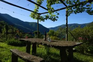 Wild Valley Garden Paradise in Valle Onsernone - Intragna TI