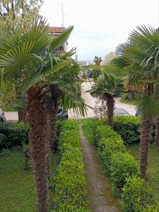 Apartman Maja 