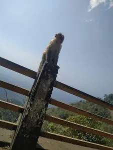 Aramana - Mennānyam