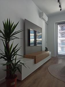 Urban Arena Apartment