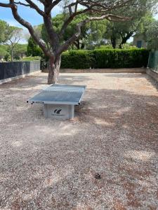 Apt Rez de jardin piscine dans résidence