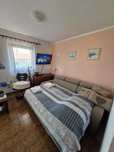 Apartment Hribar 2