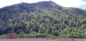 Camping Pentru Rulote, Auto Rulote, Corturi Personale La Barbosu in Lepsa, Vrancea