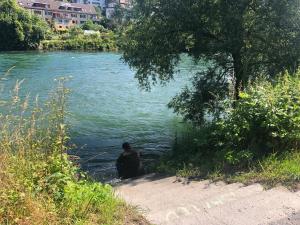 Maisonnette Wohnung am Fluss