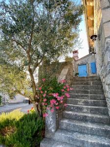 Authentic stone house Miro