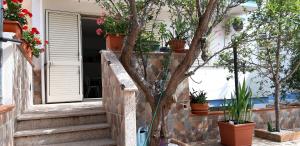 Phiniscollis B&B img17