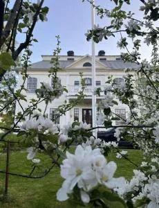 Lägenhet i sekelskifteshus - Hemsön