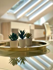 Jaukus butas prie jūros