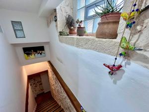 Kazalakis Chania Harbor Roof top retreat