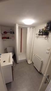 Appartements Studio cosy climatise : photos des chambres