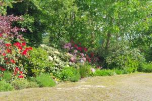 NEU!! FeWo Deichblick OG am JadebusenNordseeküste