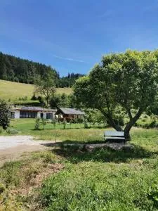 Chatka Katka - Mutne