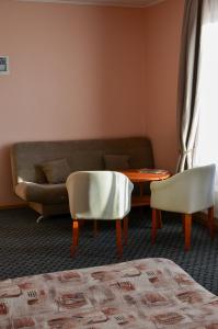 One-Bedroom Apartment room in Viešbutis Ventainė