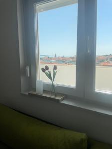 Laganini apartman Rab