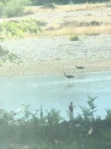 Camping Shtepezi - Gjirokastër