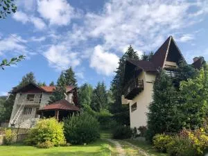 Villa Rares - 博尔沙