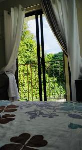 Martinez Condominiums