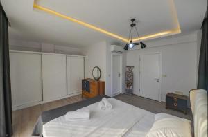 Luxury Villa with Pool