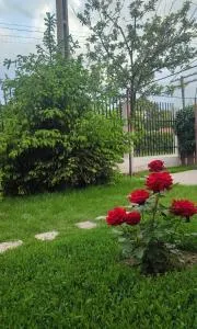 Casa Silvia - Corbu - Sohman