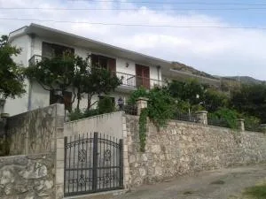 Green olive 1 - Vrijesno