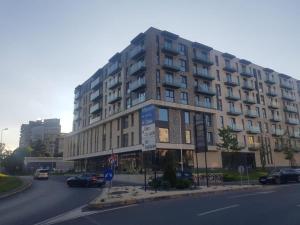 New Transilvania White