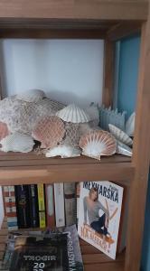 Apartman Mikola with sea view