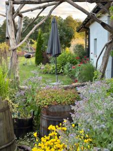 Domki nad rzeką Ełk