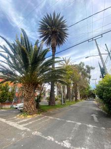 Estudio comodo con Terraza Centro de CDMX 3