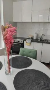 Apartman Bjanka - Nikolinac