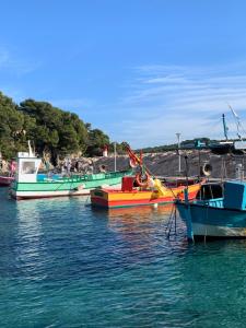 Appartements Villa Simone : photos des chambres