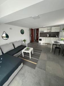 Apartament Koninki