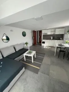 Apartament Koninki - Poręba Wielka