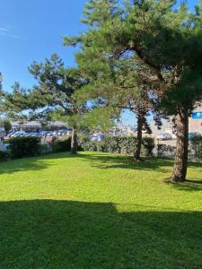 Studio vue port, Arcachon, piscine, wifi