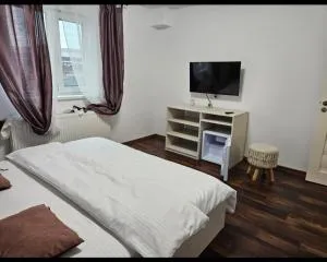 Casa COCO - Borobăneşti