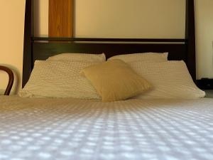 Sejours chez l'habitant Le chene magique 40200 Leontine : photos des chambres