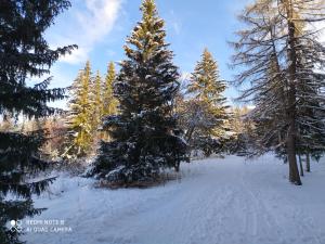 Arcs 1800 Belles Challes Studio 5 personnes