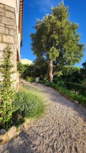 Villa Argonaute