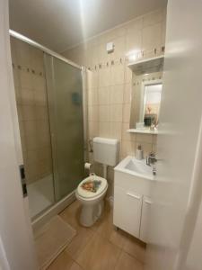 Apartma Medvedjek 