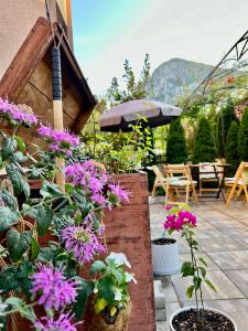 Comfort Luxury Apartments