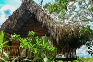 Cabin Nestled in Bamboo Forest