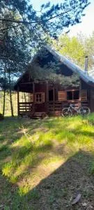 Zapach Lasu domek nad jeziorem - Warcz