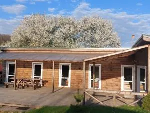 Merkioaidas - Jaglimainys