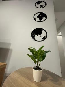 Bosques Modern Apartment