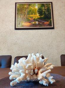 Forest View Apartment