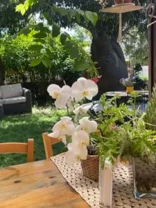 Rimon Butique home - 兹奇隆亚科夫