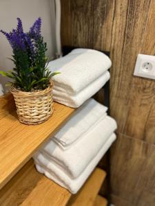 Apartament EROS Rynek