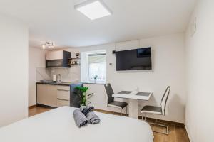 Apartmaji Mouse